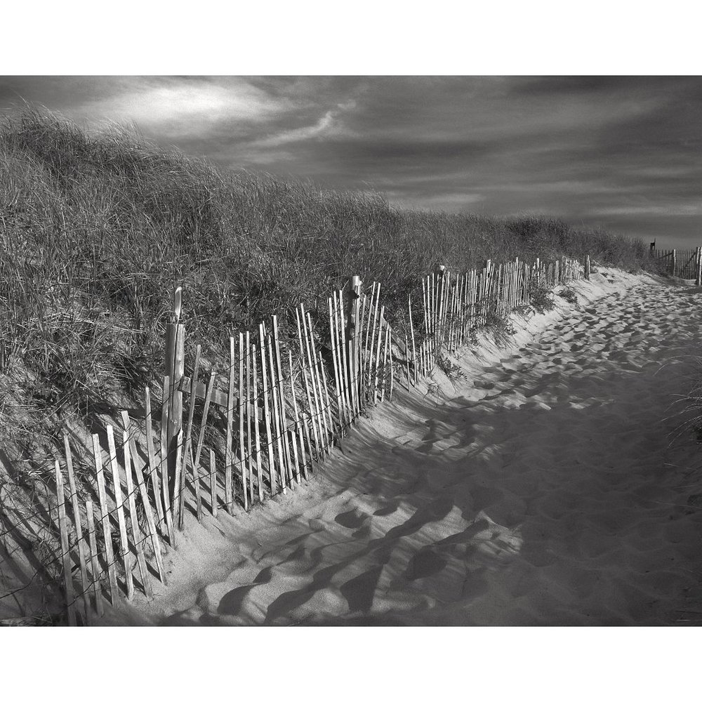 Dune and Fence 11 x 14 print